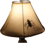 Insect in a lampshade!